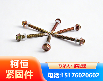 运城六角钻尾丝